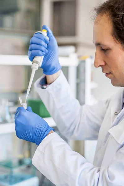 Científico en el laboratorio llenando tubos de ensayo con pipeta —  Fotos de Stock