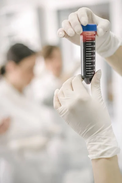 Grupo de científicos que trabajan con muestras de tubos de ensayo líquidos — Foto de Stock