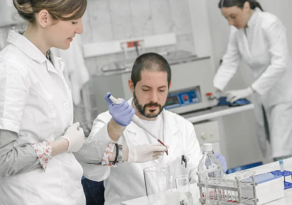 Grupo de cientistas que trabalham com amostras de tubos de ensaio líquidos — Fotografia de Stock