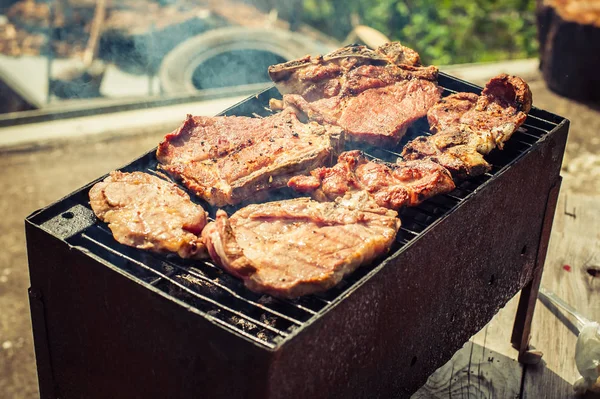 Churrasco. Closeup de churrasco churrasco piquenique no quintal ao ar livre — Fotografia de Stock