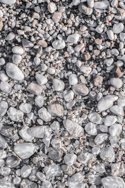Deniz çakıl su şeffaf bir tabaka altında sahilde — Stok fotoğraf
