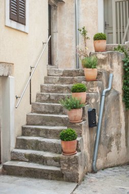 Taş merdiven saksı ile