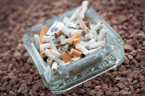 Kül tablası sigara popo ve kül dolu. Gerçek hayat sahne