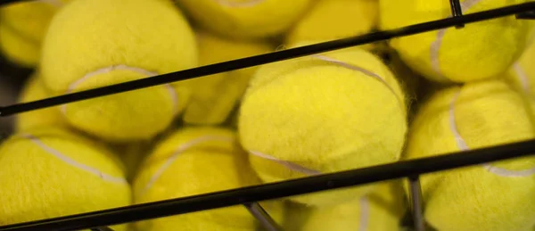 Grande numero di palline da tennis gialle nel cestino — Foto Stock