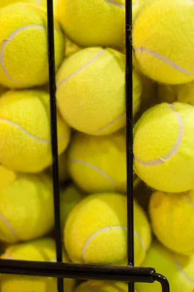 Grande numero di palline da tennis gialle nel cestino — Foto Stock