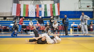 Martial Art Instructor Demonstrate Brazilian Jiu-jitsu Technique clipart