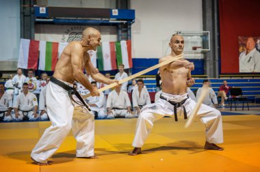 Savaş sanatı eğitmen göstermek tekniği kırma. Kyokushin