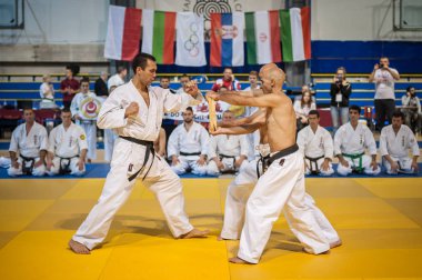 Savaş sanatı eğitmen göstermek tekniği kırma. Kyokushin