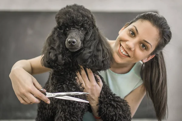 Toiletter un petit chien dans un salon de coiffure pour chiens — Photo