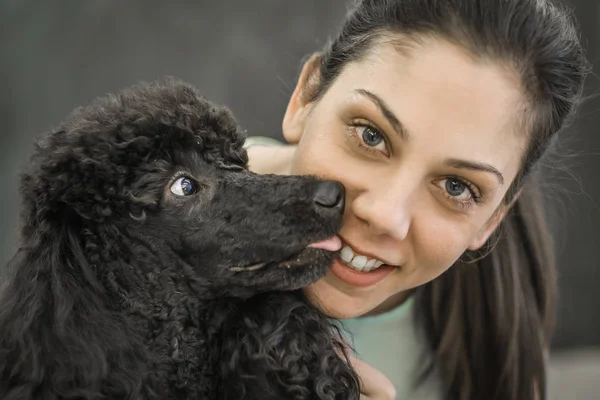 Toiletter un petit chien dans un salon de coiffure pour chiens — Photo