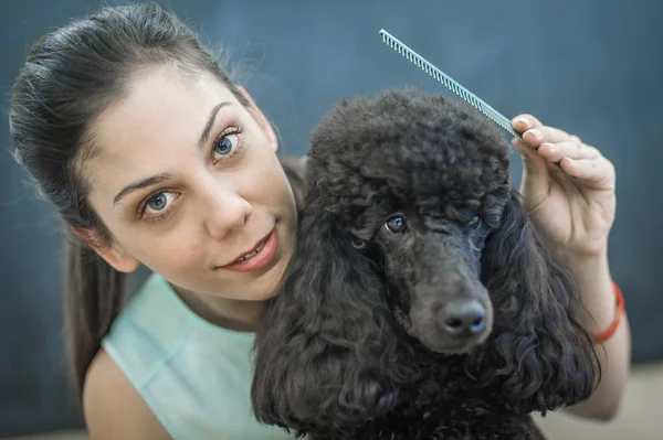 Toiletter un petit chien dans un salon de coiffure pour chiens — Photo