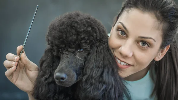 Het verzorgen van een hondje in een kapsalon voor honden — Stockfoto