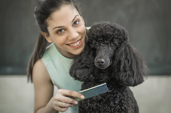 Grooming a little dog in a hair salon for dogs — Stock Photo, Image