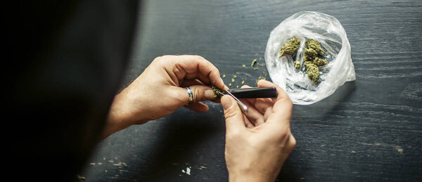 Preparing marijuana cannabis joint. Drugs narcotic concept