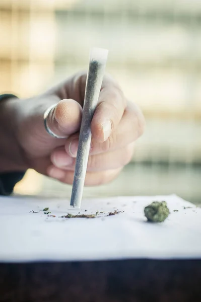 Homem preparando charuto haxixe rolando cigarro de maconha para fumar — Fotografia de Stock