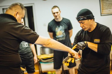 Guro Roger Agbulos Lameco Astig hırçın Fma seminer Belgrad