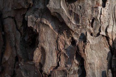 Sanat, soyut ve sanatsal arka plan deseni makro lens yerlerd