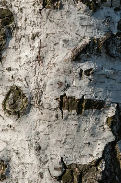 Kunst, abstrakte und künstlerische Hintergrundmuster Makrolinsenlupe — Stockfoto