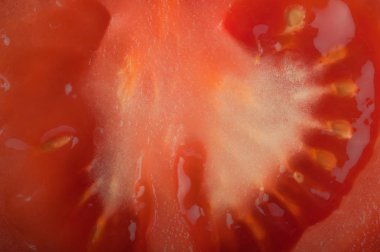 Soyut ve sanat domates dilim detay