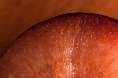 Soyut ve sanat Erik detay dilim