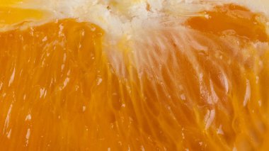 Soyut ve sanat Portakal dilim detay