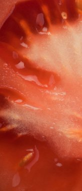 Soyut ve sanat domates dilim detay