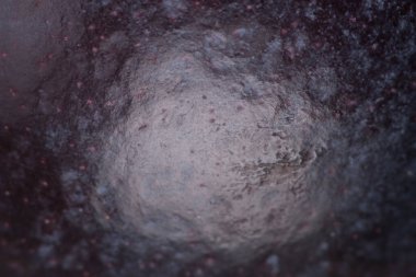 Bir Erik meyve görüntü kadar kapatın. Makro çekim