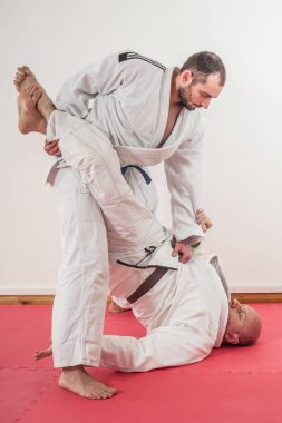 Brazilian jiu-jitsu training demonstration in traditional kimono clipart