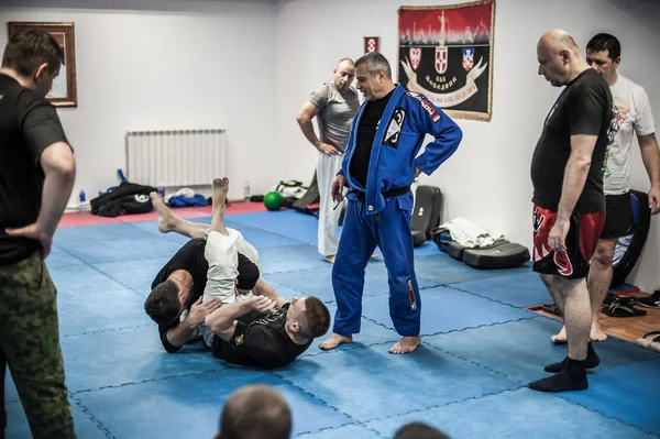 Usta eğitmen Avi Nardia Bjj yer savaşını anlatıyor