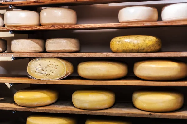 Traditional Dutch cheese displayed for sale in shop market