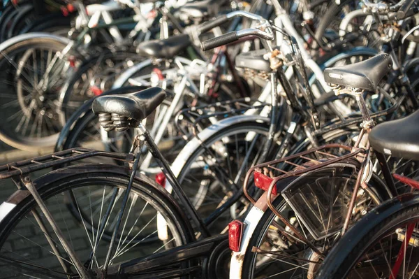 Close Vista Detalhe Velhas Bicicletas Clássicas Holland Vintage Vista Para — Fotografia de Stock