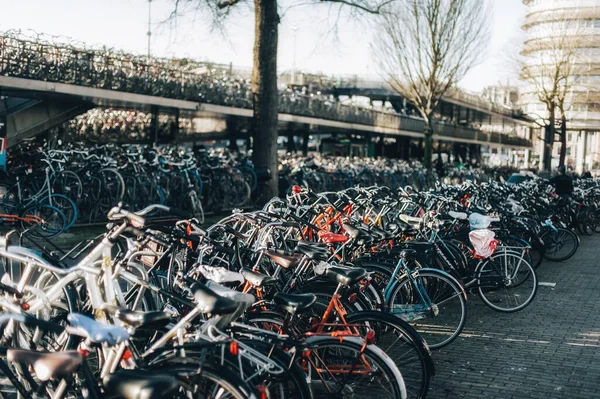 Grupo Una Gran Cantidad Edad Holanda Vintage Bicicletas Clásicas Fila —  Fotos de Stock