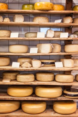 Hollanda 'da Amsterdam' da satılık geleneksel Hollanda peyniri. Hollanda, çeşitli sert ve yarı sert peynirler üretir.