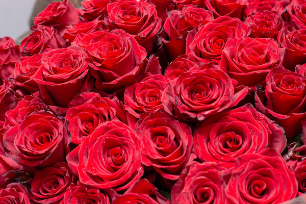 beautiful bright  bouquet, close up 