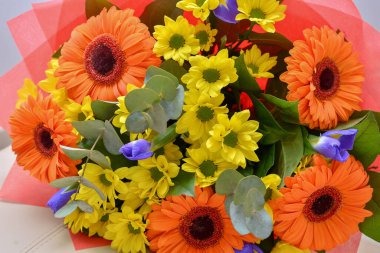 yaz çiçekleri arka planı, kapatın.