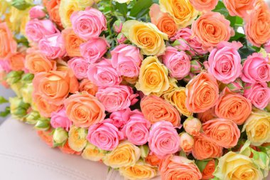 Gül çiçeği arkaplanı, kapat