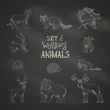 vahşi orman hayvanlar kümesi tebeşir 