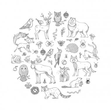 Doodles'ın vahşi hayvanlar ve ormanlık 
