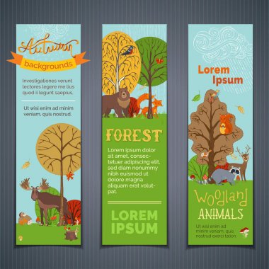 Sevimli vahşi hayvanlar ve kuşlar