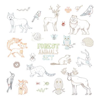 kontür orman hayvan.