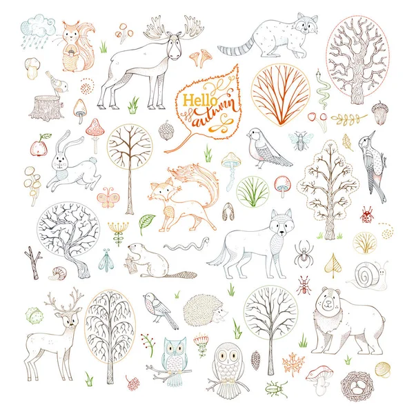 Seviyelendirilmiş sonbahar orman ağaçlar, hayvanlar, kuşlar ve böcekler kümesi.