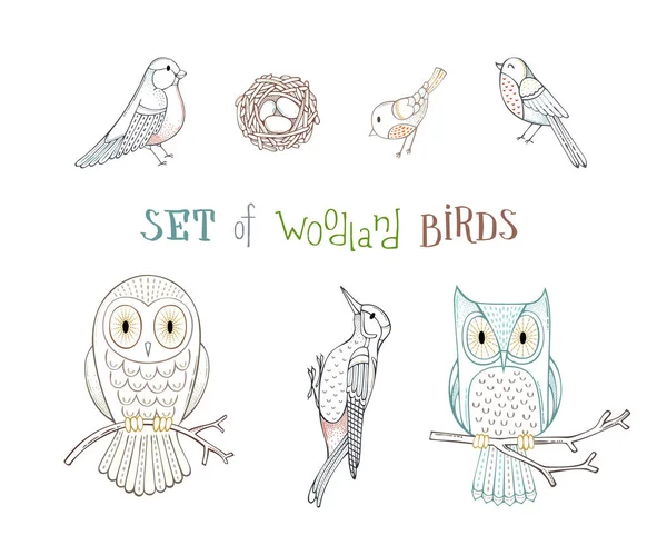 Seviyelendirilmiş tarzı ormanlık kuşlar kümesi.