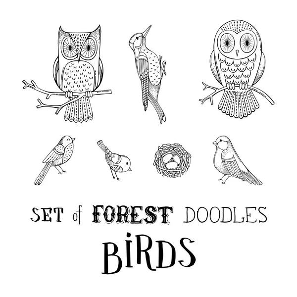 Erdő doodles madarak összessége. — Stock Vector