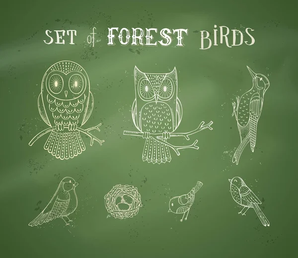 Chalk set of forest birds on blackboard — Stock Vector