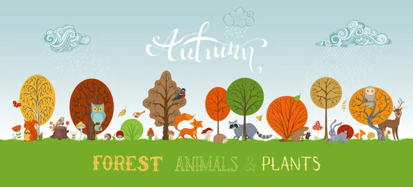 Őszi erdő állatok és növények — Stock Vector
