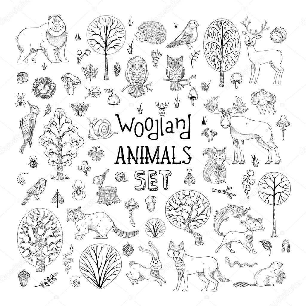 Immagini: animaletti del bosco da colorare | Doodles l'insieme di