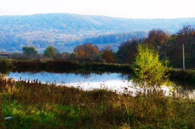 Sonbaharda ormanın kenarında küçük bir göl..