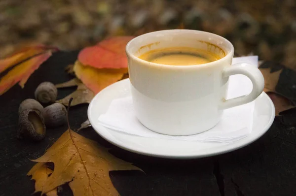 Outono ainda vida com uma xícara de café e folhas caídas. — Fotografia de Stock