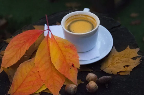 Filiżanka kawy z pomarańczowymi liśćmi i żołędziami w lesie na pniu. — Zdjęcie stockowe