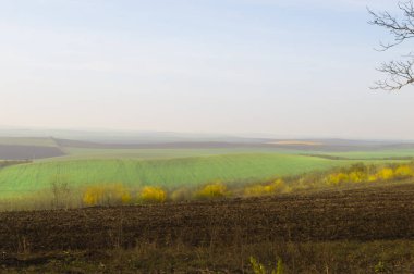 Pürüzlü toprak ve sonbahar yeşili tepeler uzanan ufuk çizgisi.